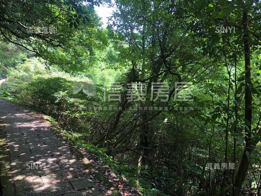 陽明山公園幽靜好地房屋室內格局與周邊環境