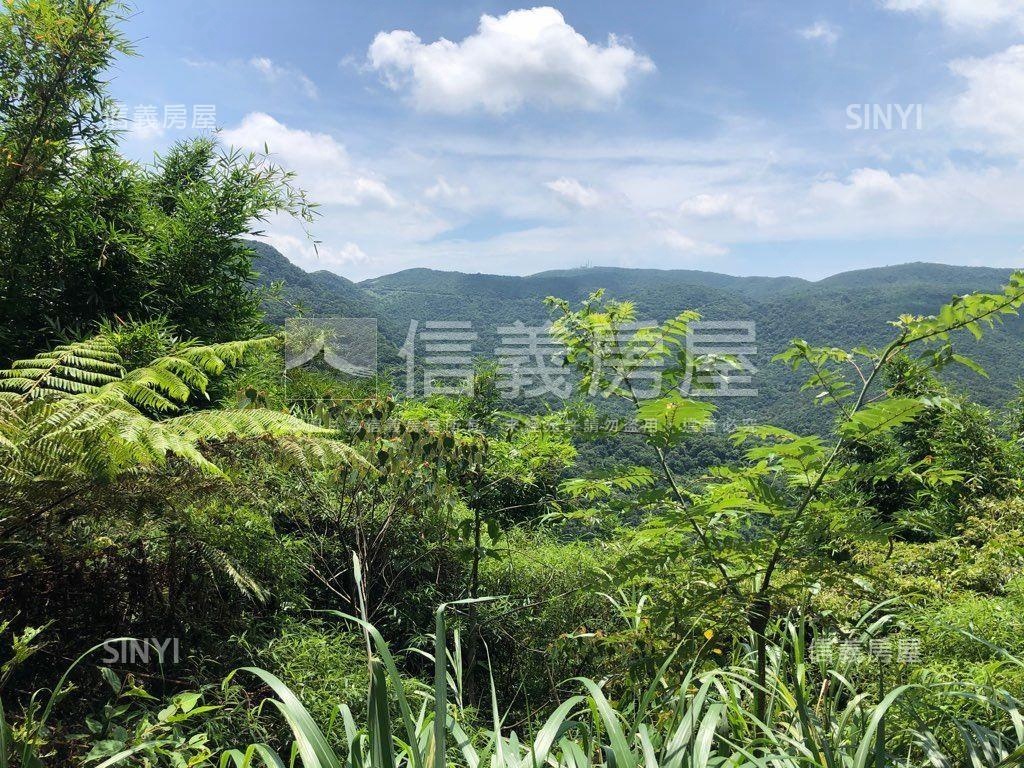 陽明山公園幽靜好地房屋室內格局與周邊環境