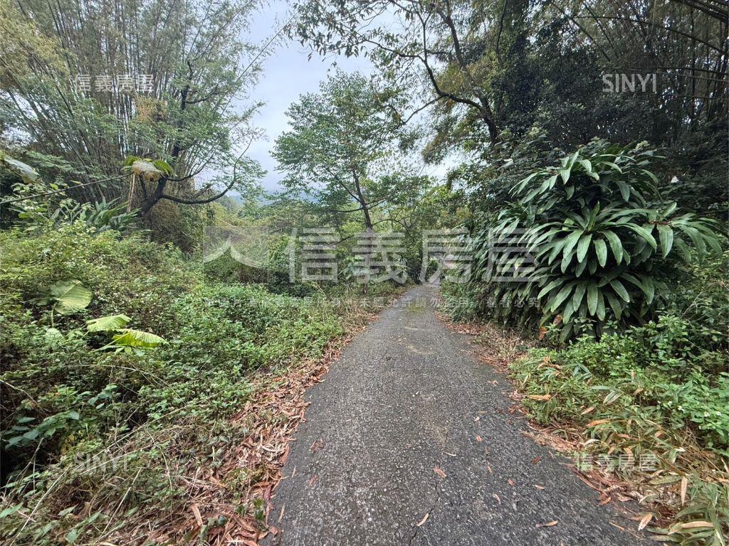 專任北屯農土地房屋室內格局與周邊環境