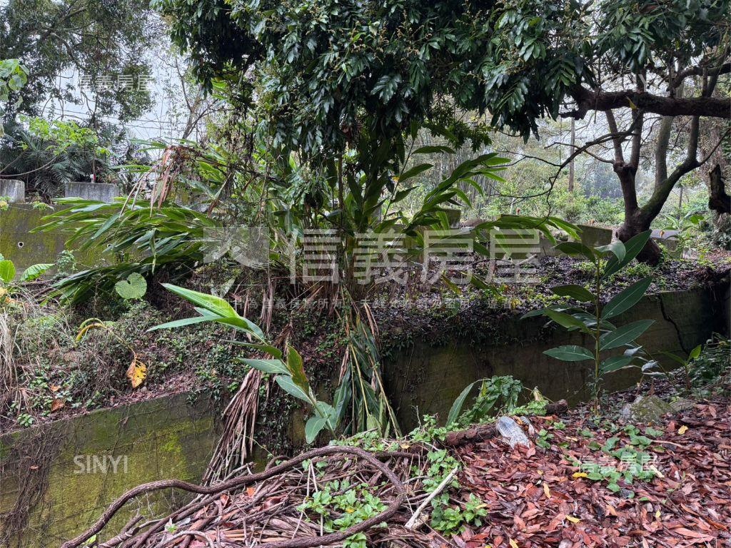 專任北屯農土地房屋室內格局與周邊環境