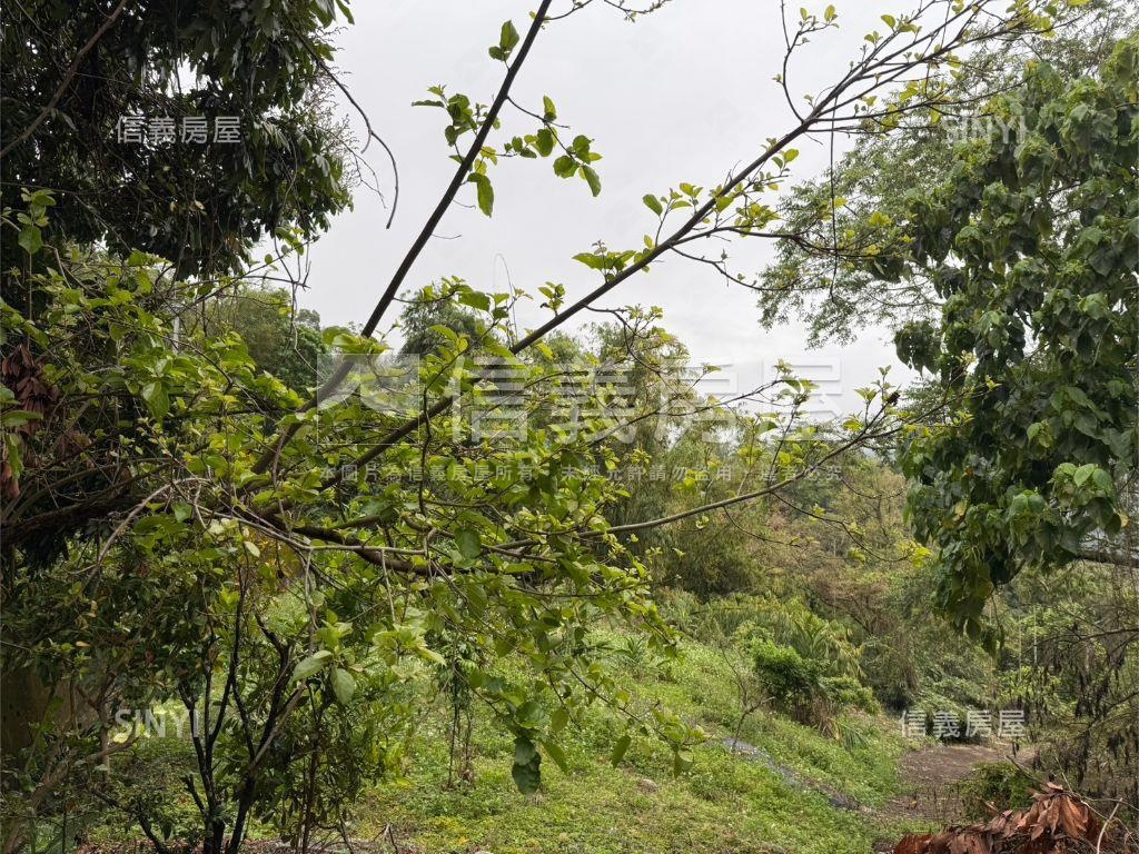 專任北屯農土地房屋室內格局與周邊環境