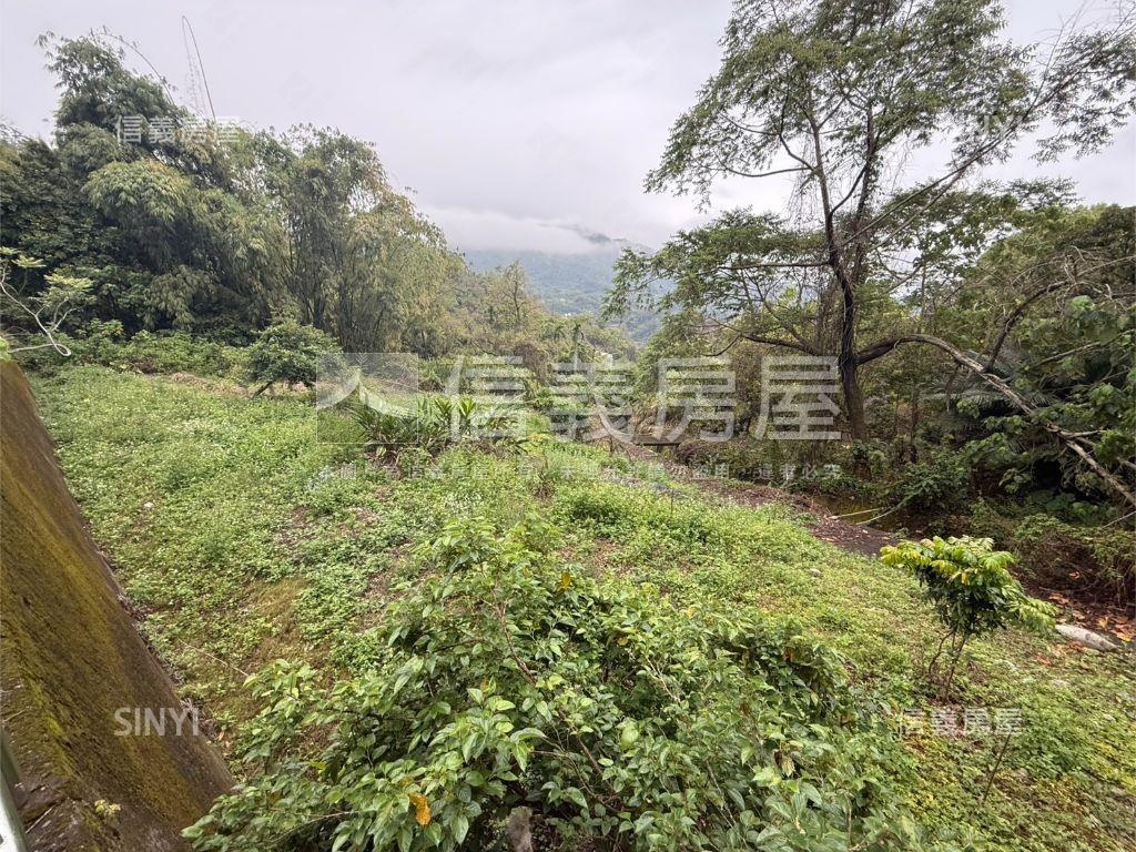 專任北屯農土地房屋室內格局與周邊環境