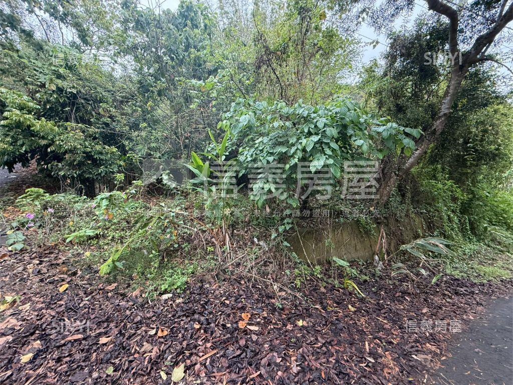 專任北屯農土地房屋室內格局與周邊環境