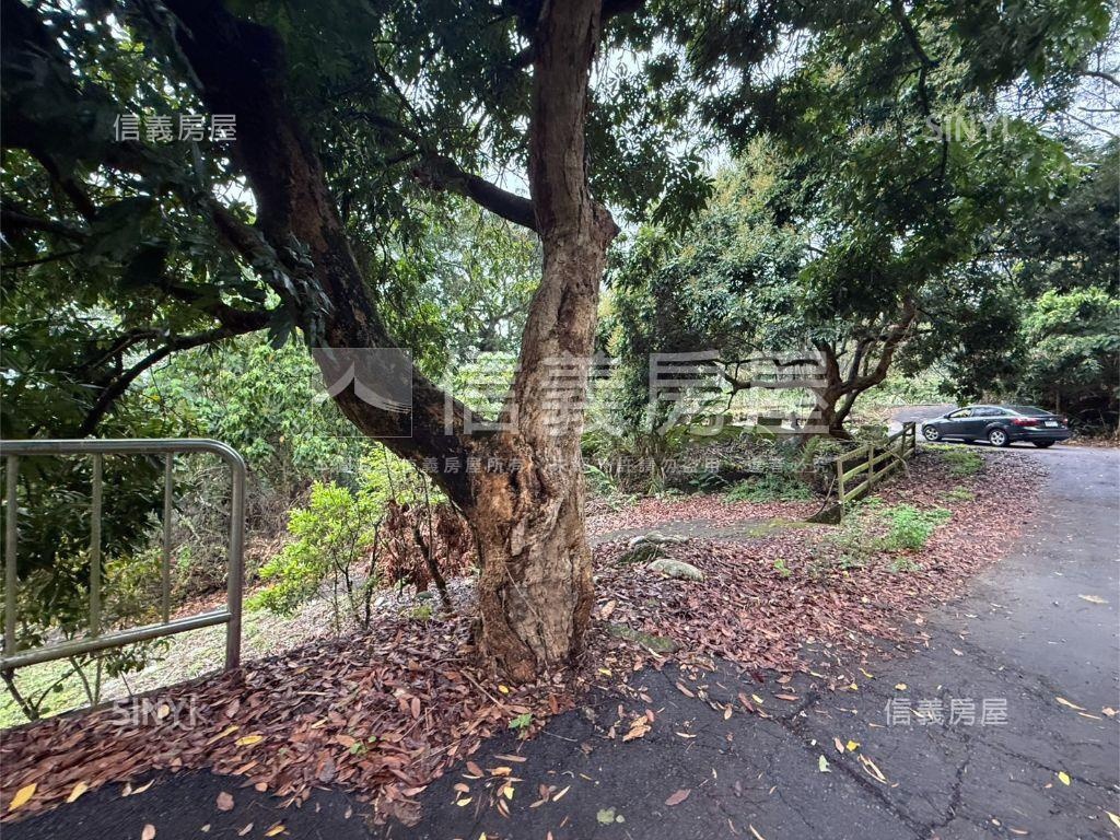 專任北屯農土地房屋室內格局與周邊環境