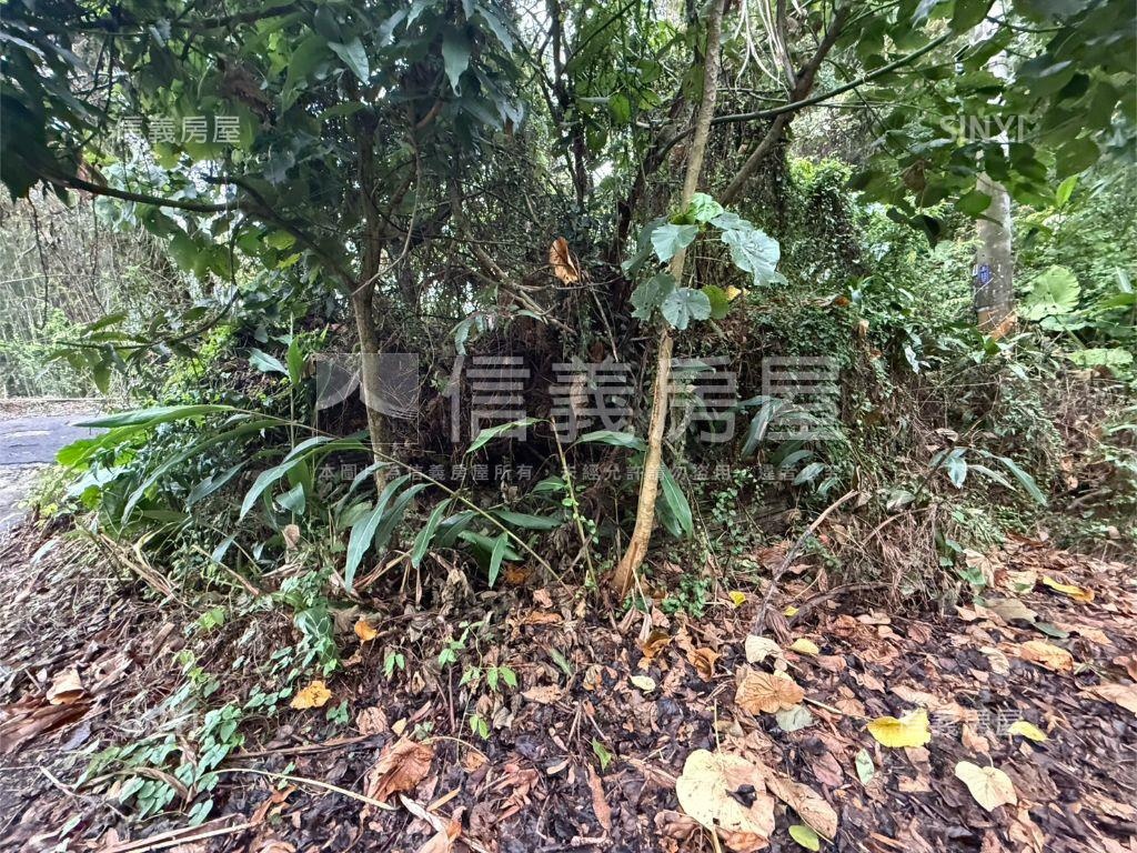 專任北屯農土地房屋室內格局與周邊環境