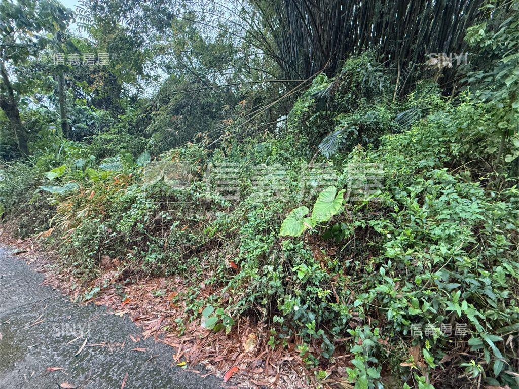 專任北屯農土地房屋室內格局與周邊環境