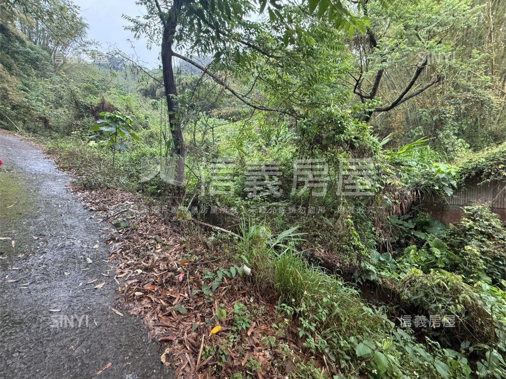 專任北屯農土地房屋室內格局與周邊環境
