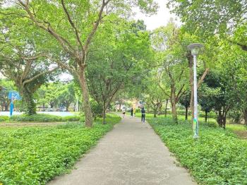 江子翠捷運稀有公園景觀