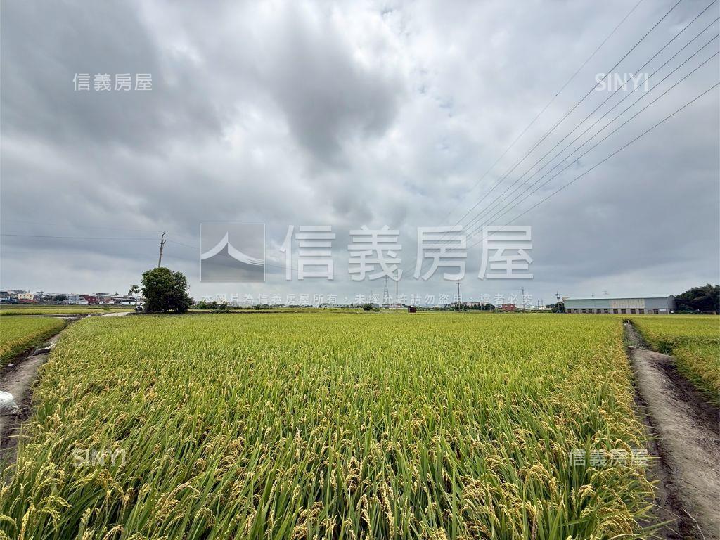 大肚追分段農地房屋室內格局與周邊環境