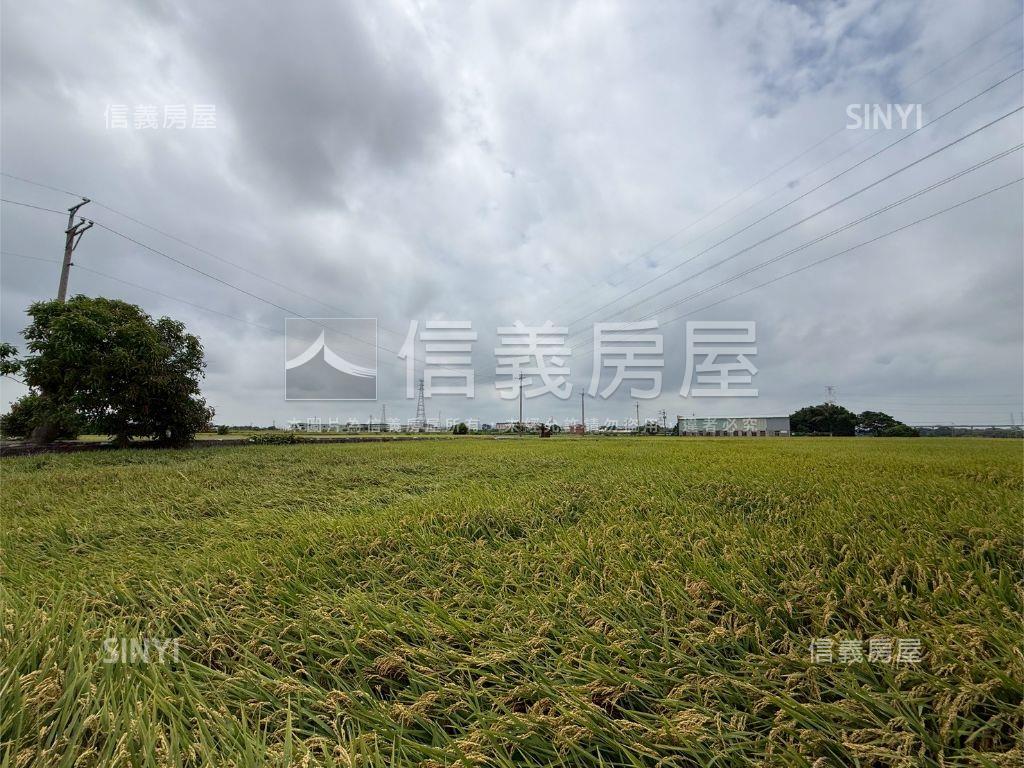大肚追分段農地房屋室內格局與周邊環境