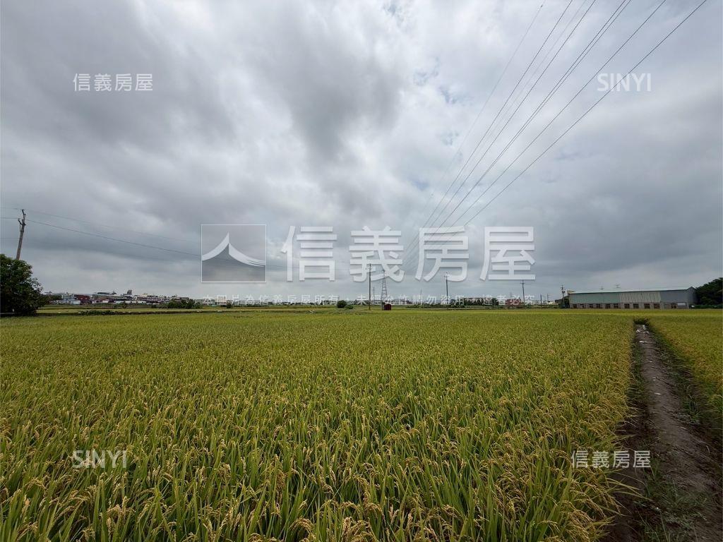 大肚追分段農地房屋室內格局與周邊環境