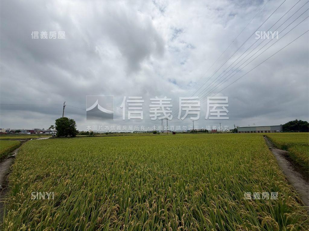 大肚追分段農地房屋室內格局與周邊環境