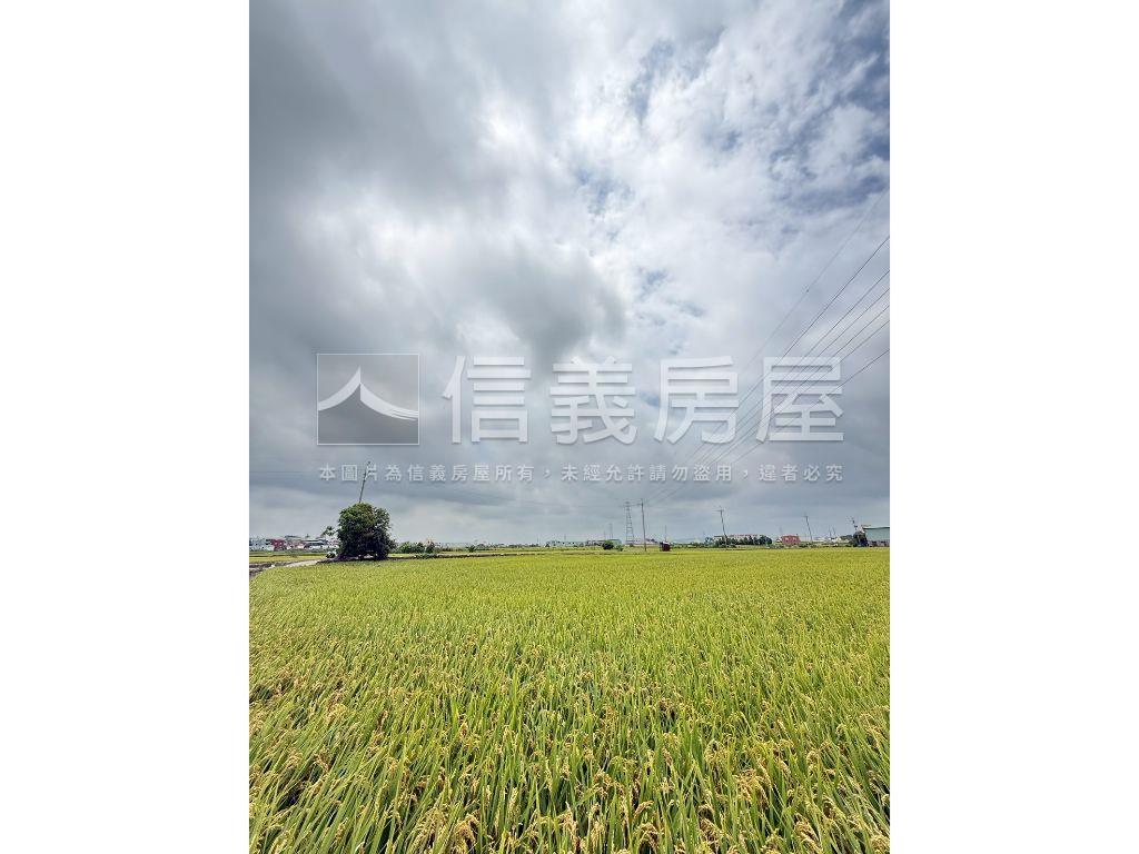 大肚追分段農地房屋室內格局與周邊環境