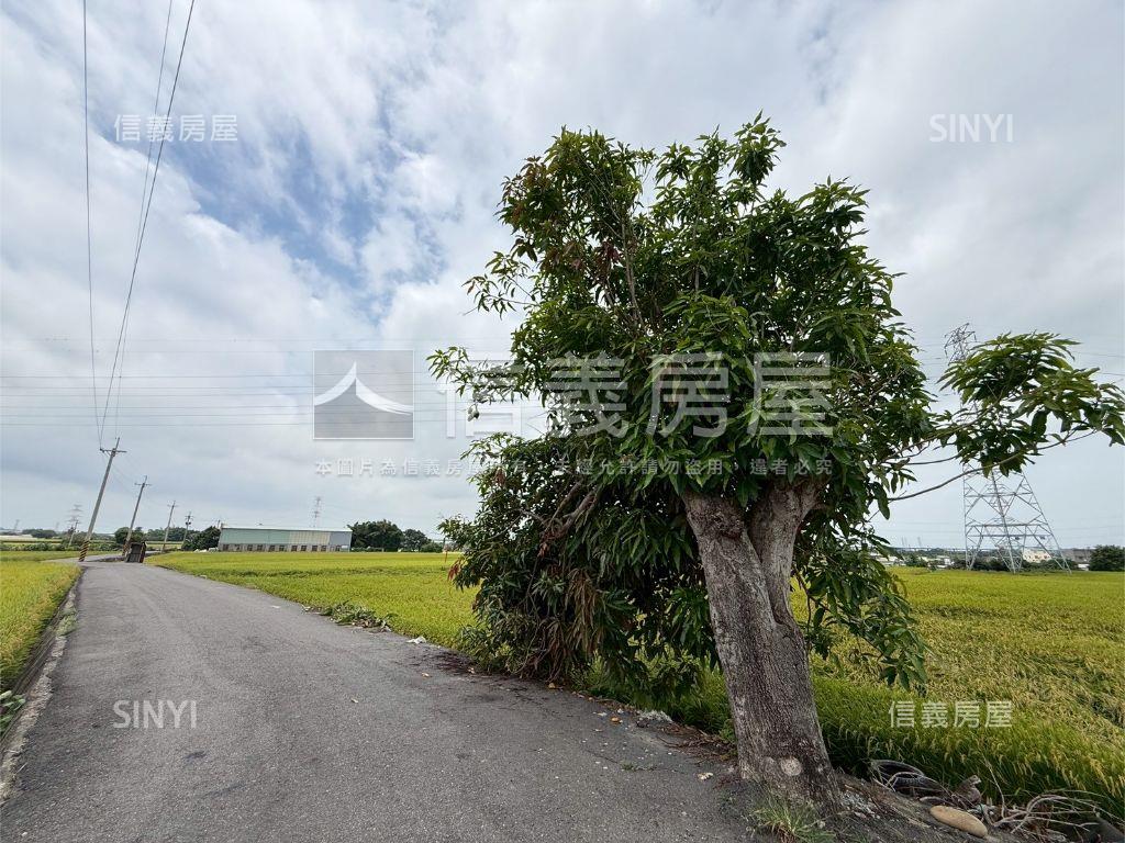 大肚追分段農地房屋室內格局與周邊環境
