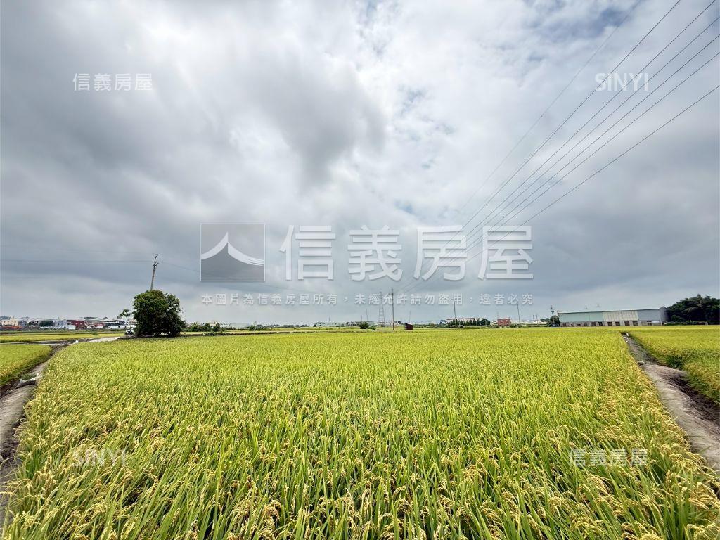 大肚追分段農地房屋室內格局與周邊環境