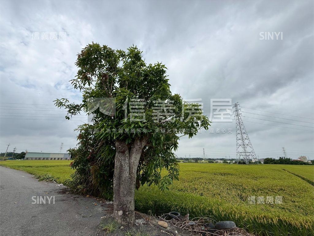 大肚追分段農地房屋室內格局與周邊環境