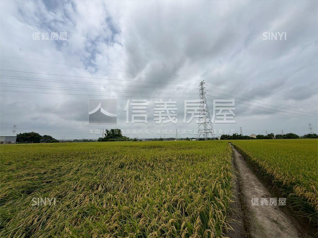 大肚追分段農地房屋室內格局與周邊環境