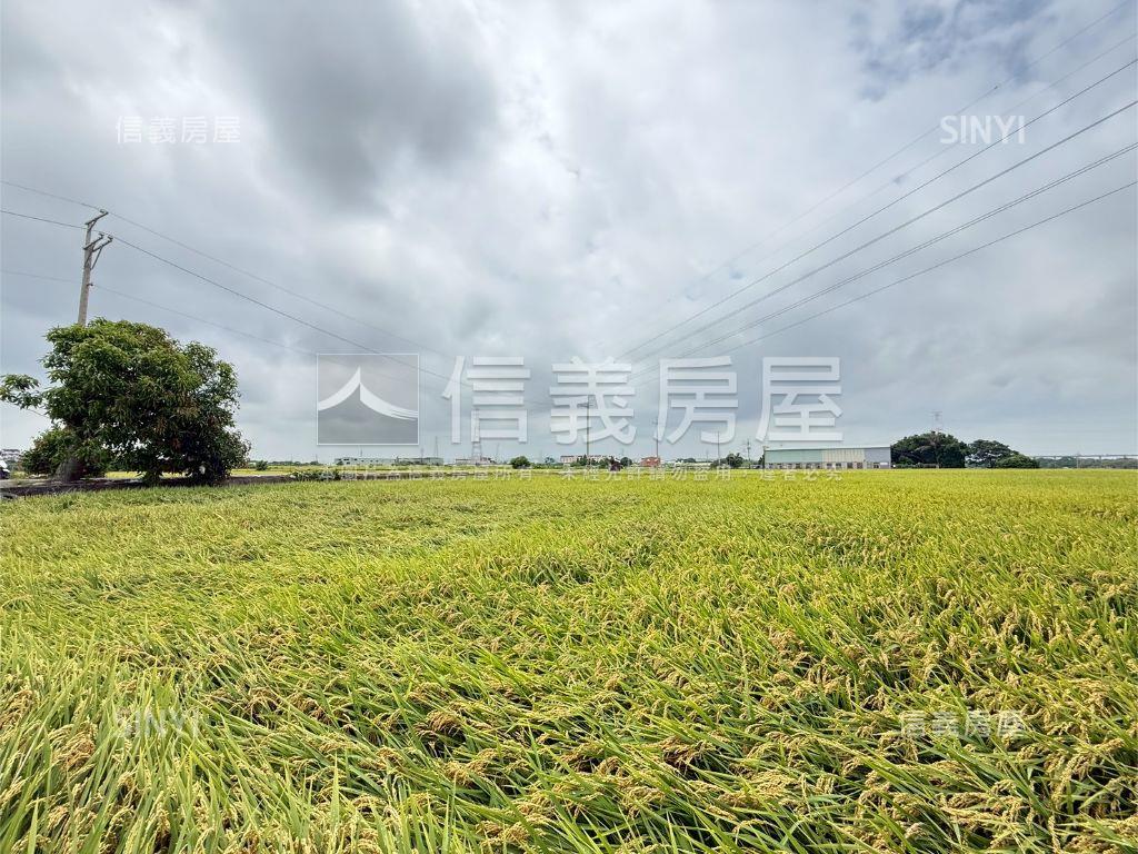 大肚追分段農地房屋室內格局與周邊環境