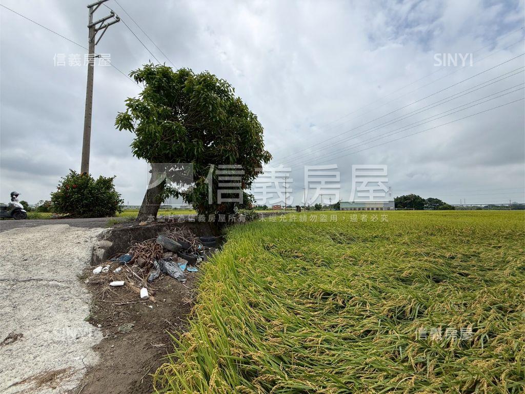 大肚追分段農地房屋室內格局與周邊環境