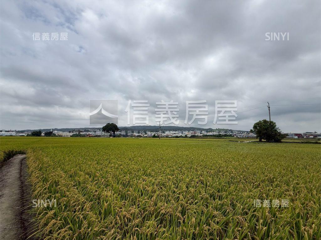 大肚追分段農地房屋室內格局與周邊環境