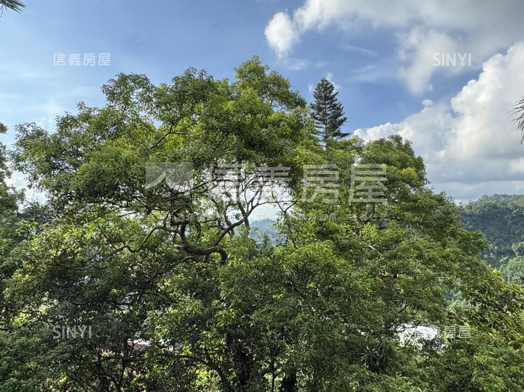 花園新城採光美居房屋室內格局與周邊環境