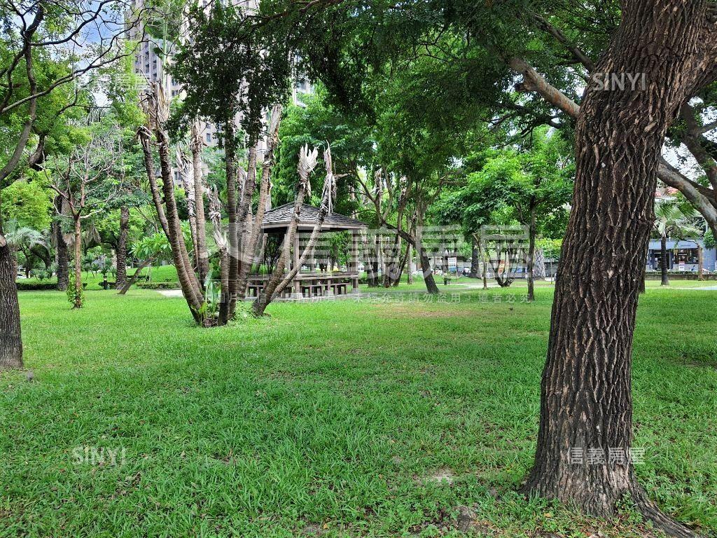 【稀有】國美館獨棟大洋房房屋室內格局與周邊環境