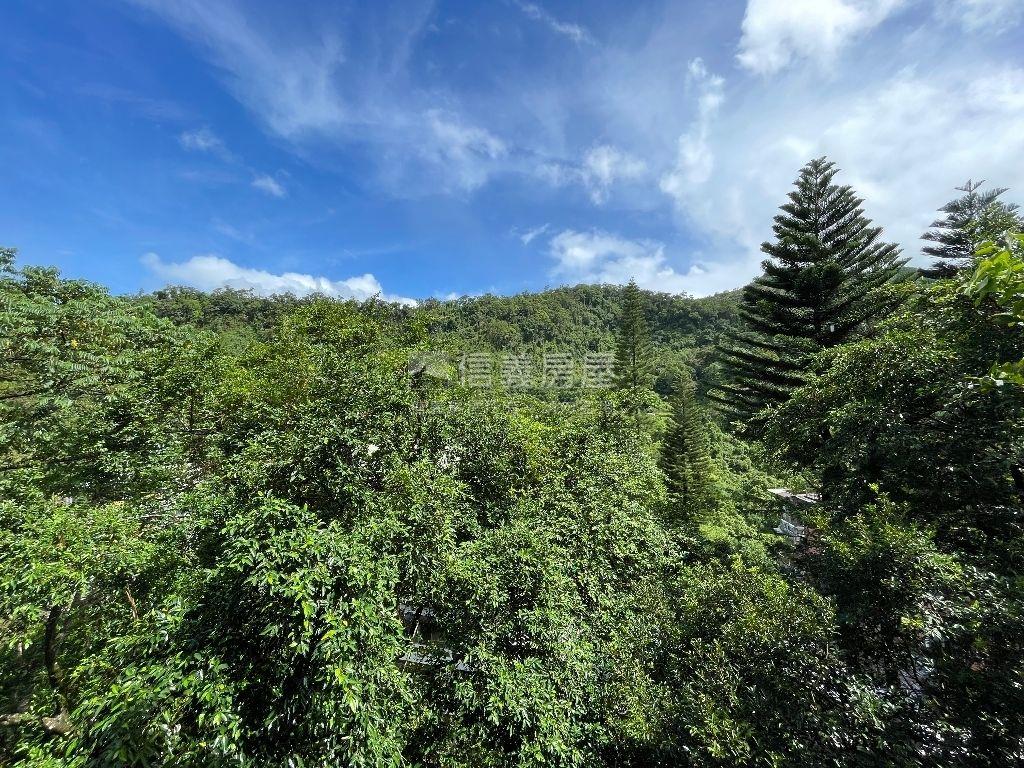 花園新城山景美宅房屋室內格局與周邊環境