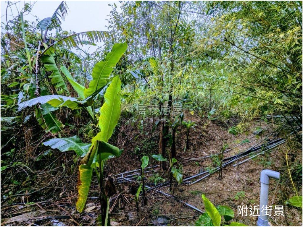 ★萬里萬坪土地好規劃★房屋室內格局與周邊環境