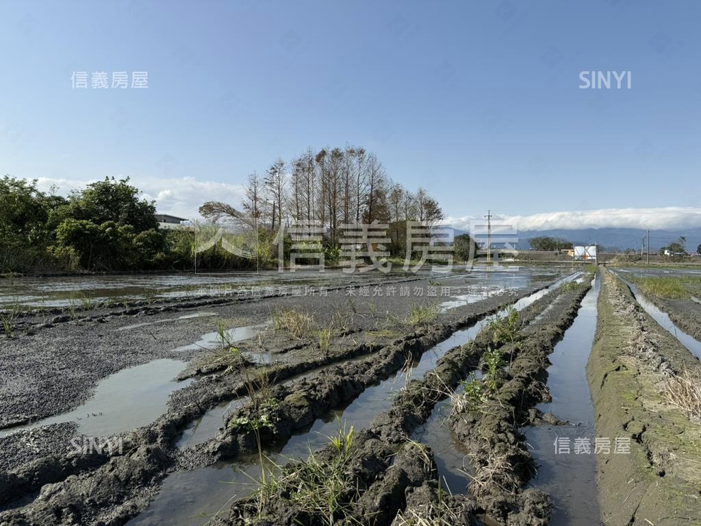 羅東仁愛雙面路２．３分地房屋室內格局與周邊環境