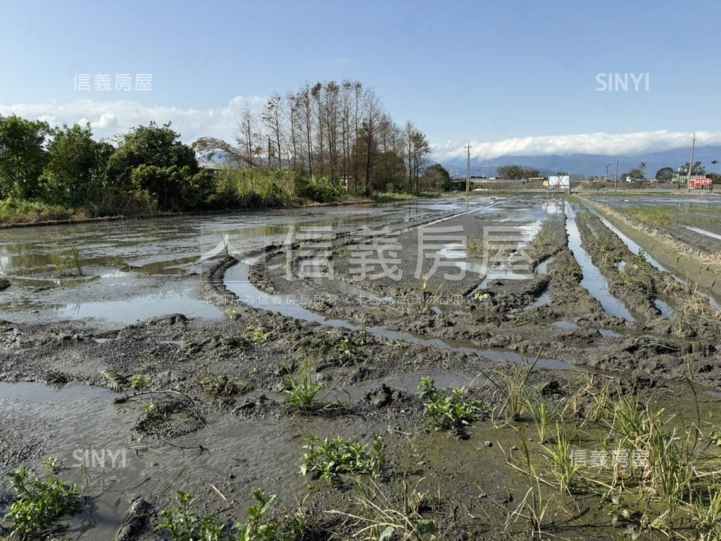 羅東仁愛雙面路２．３分地房屋室內格局與周邊環境