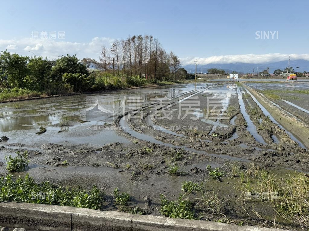 羅東仁愛雙面路２．３分地房屋室內格局與周邊環境