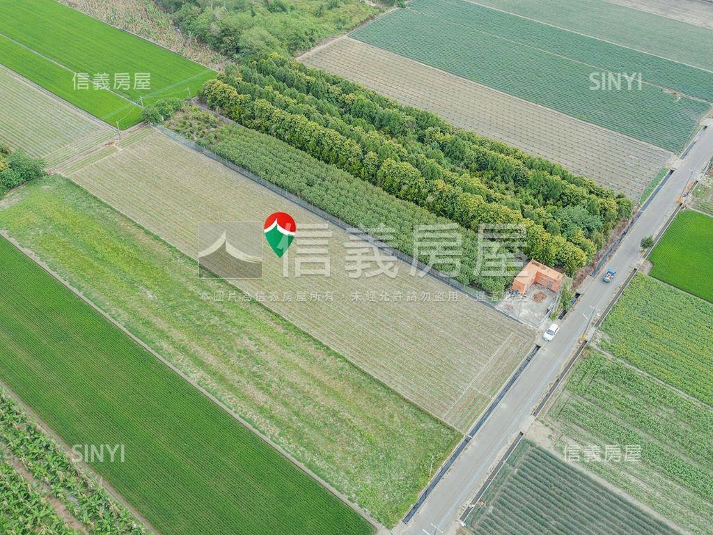 雲林農地９６９坪房屋室內格局與周邊環境