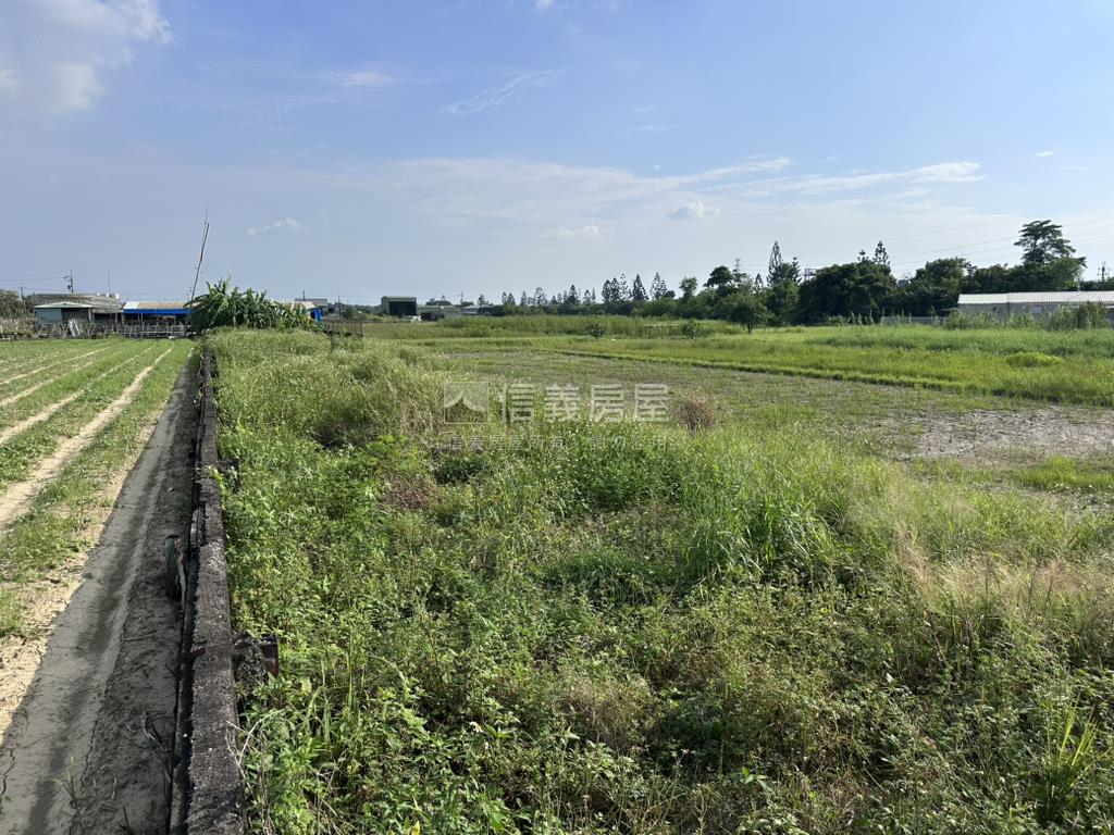 新化中山路約２２０坪特農房屋室內格局與周邊環境