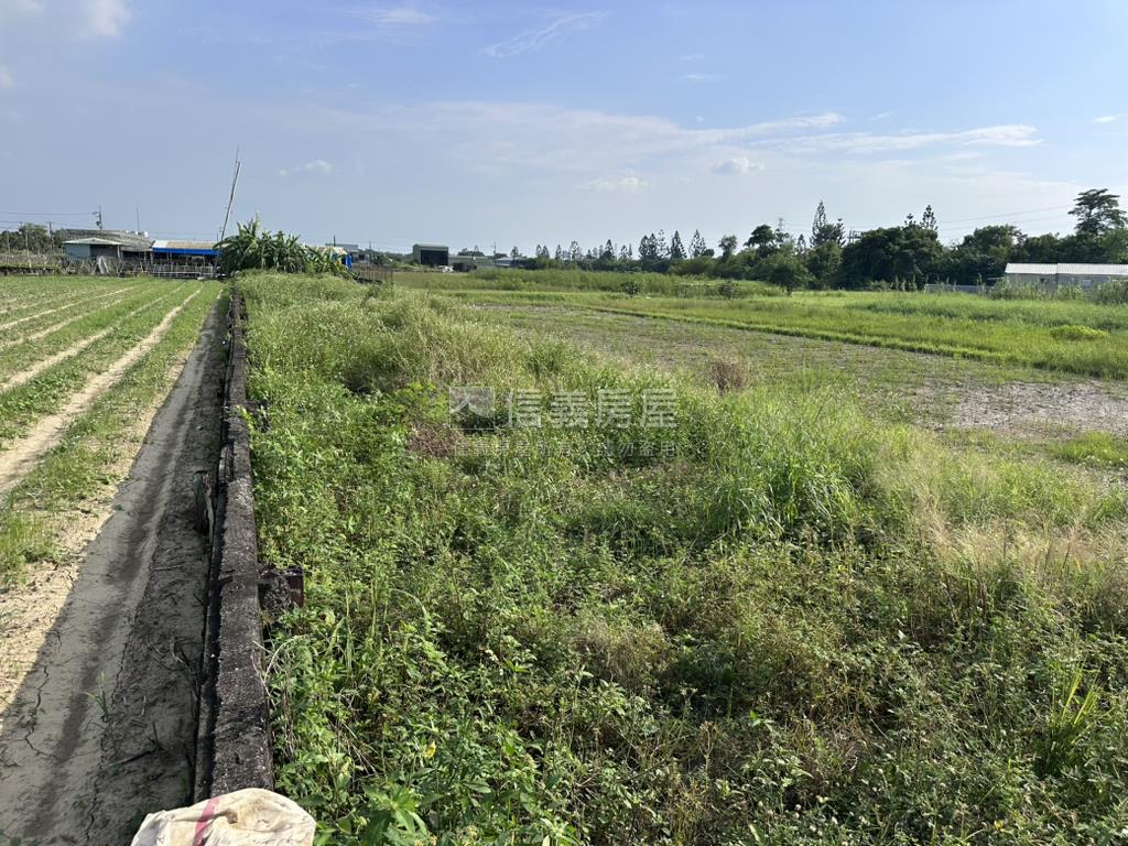 新化中山路約２２０坪特農房屋室內格局與周邊環境