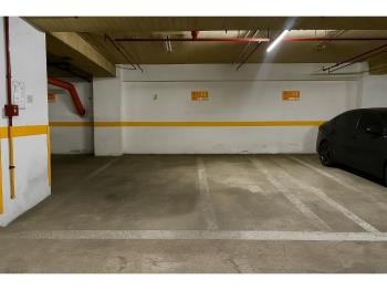 稀有樟樹二路坡平大車位