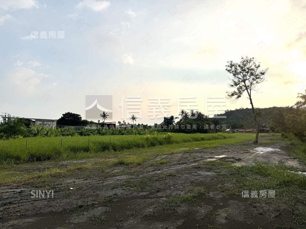 旗山老街臨路面寬農地房屋室內格局與周邊環境
