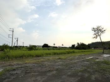 旗山老街臨路面寬農地