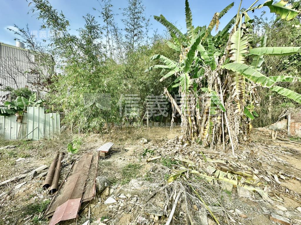 新社約４３４坪建地房屋室內格局與周邊環境