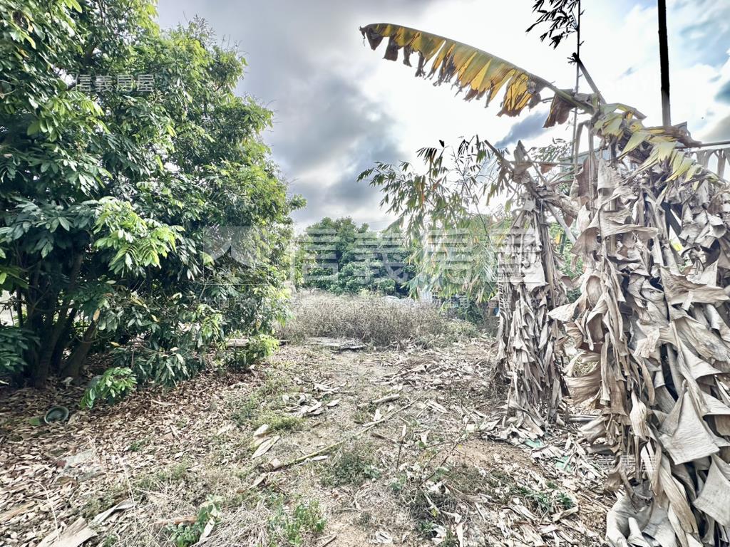 新社約４３４坪建地房屋室內格局與周邊環境