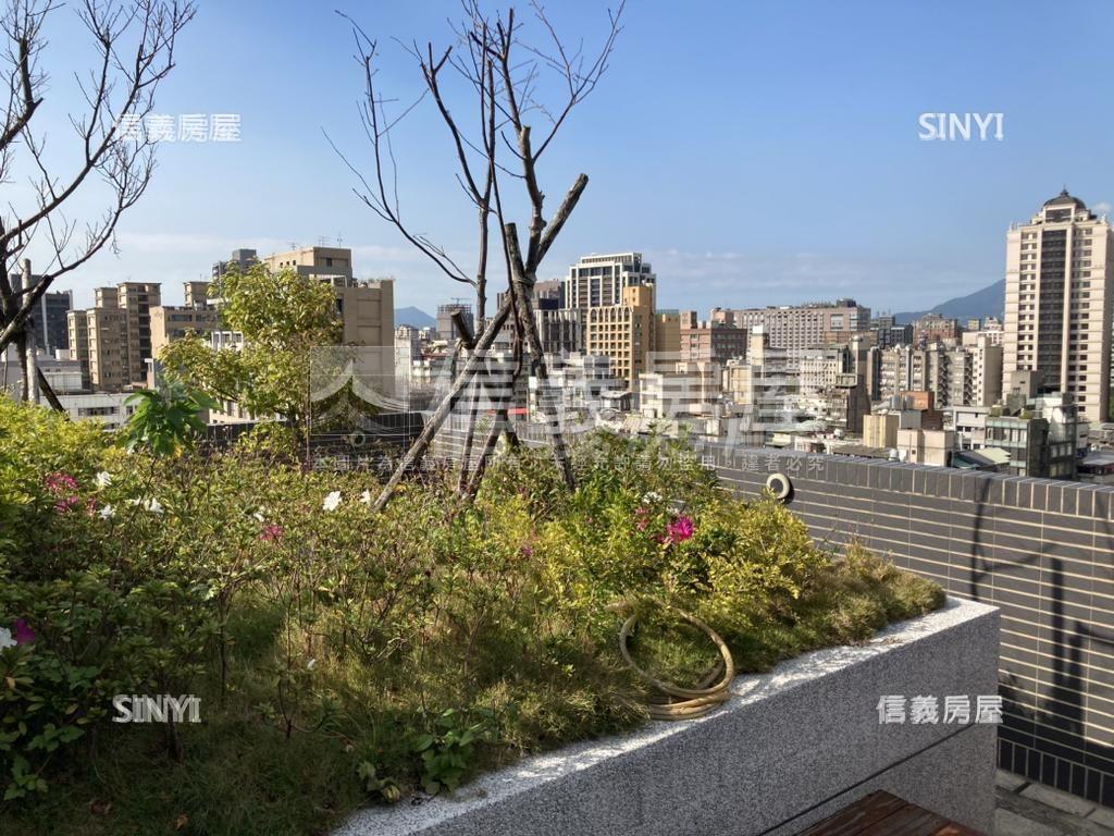 花見華山挑高採光小豪邸房屋室內格局與周邊環境