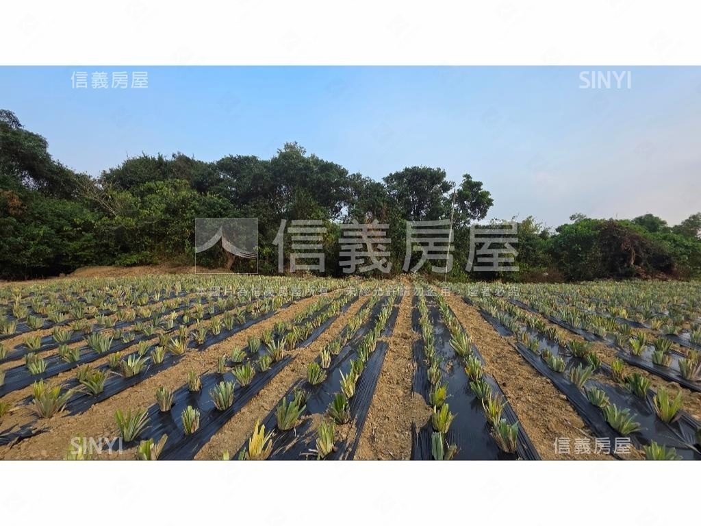 世外桃源新化農地房屋室內格局與周邊環境