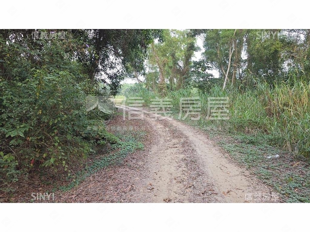 世外桃源新化農地房屋室內格局與周邊環境