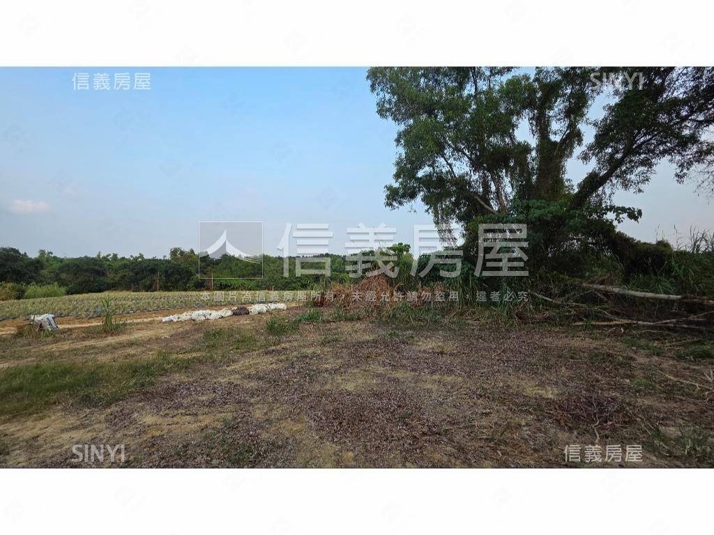 世外桃源新化農地房屋室內格局與周邊環境