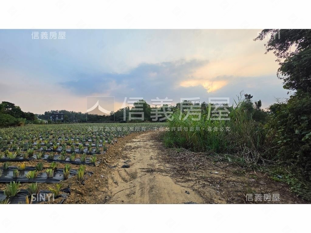 世外桃源新化農地房屋室內格局與周邊環境