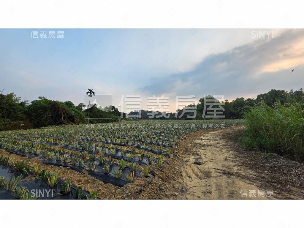 世外桃源新化農地房屋室內格局與周邊環境