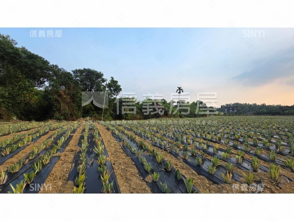 世外桃源新化農地房屋室內格局與周邊環境