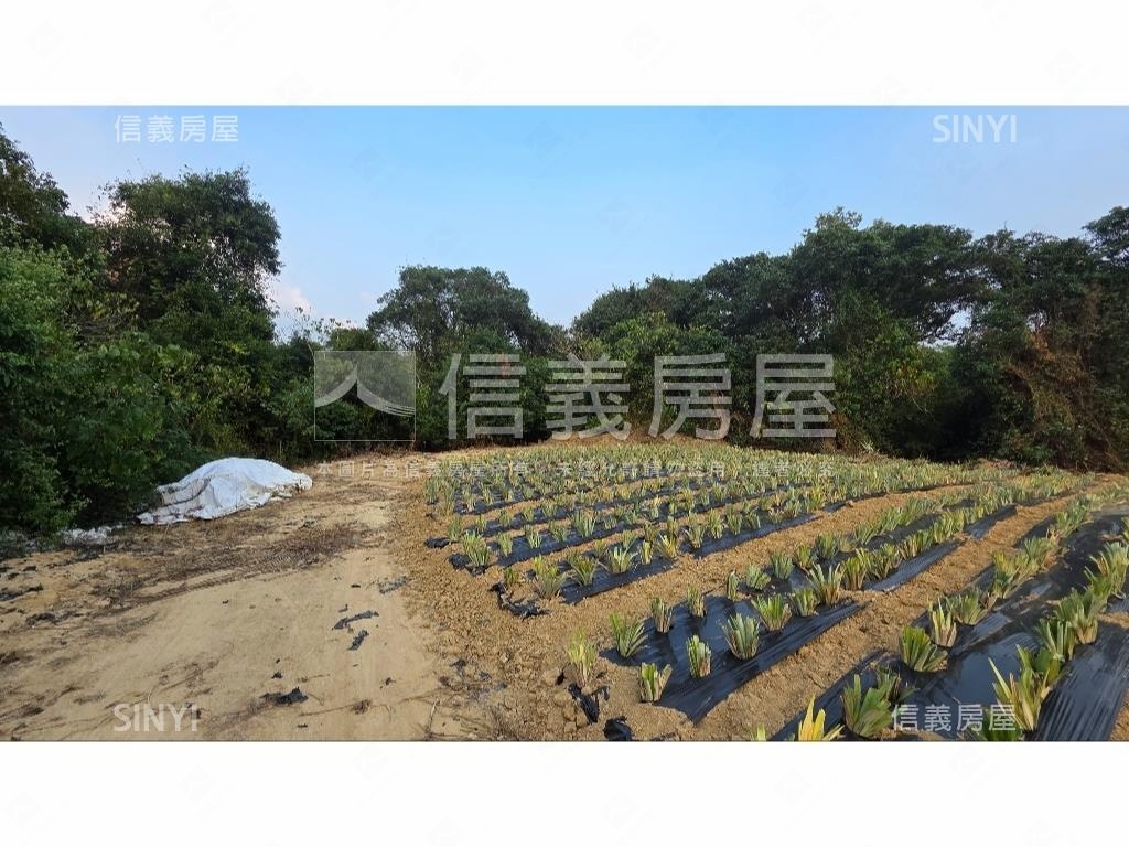 世外桃源新化農地房屋室內格局與周邊環境