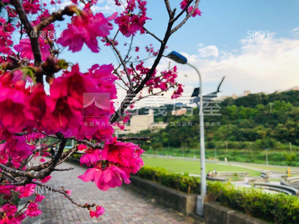 ★台北新貴★綠意河堤美邸房屋室內格局與周邊環境