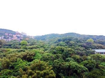 海天山景捷運美兩房