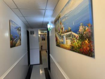 近內科熱門收租頂加